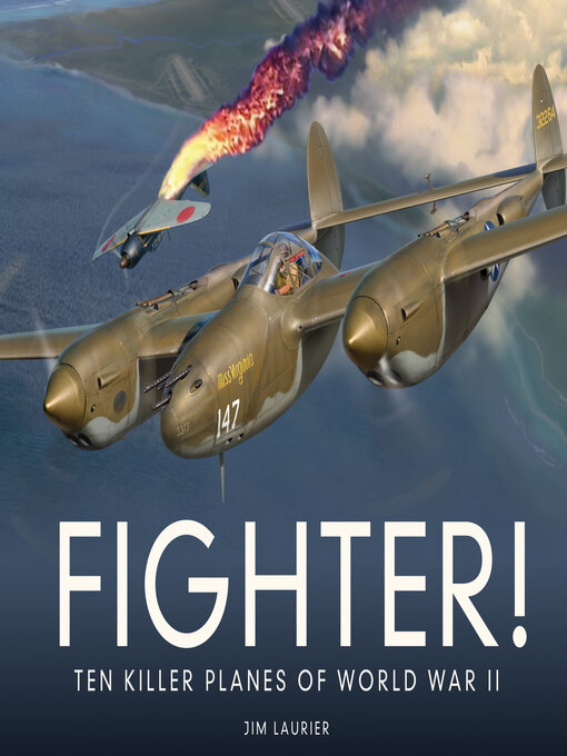 Cover image for Fighter!